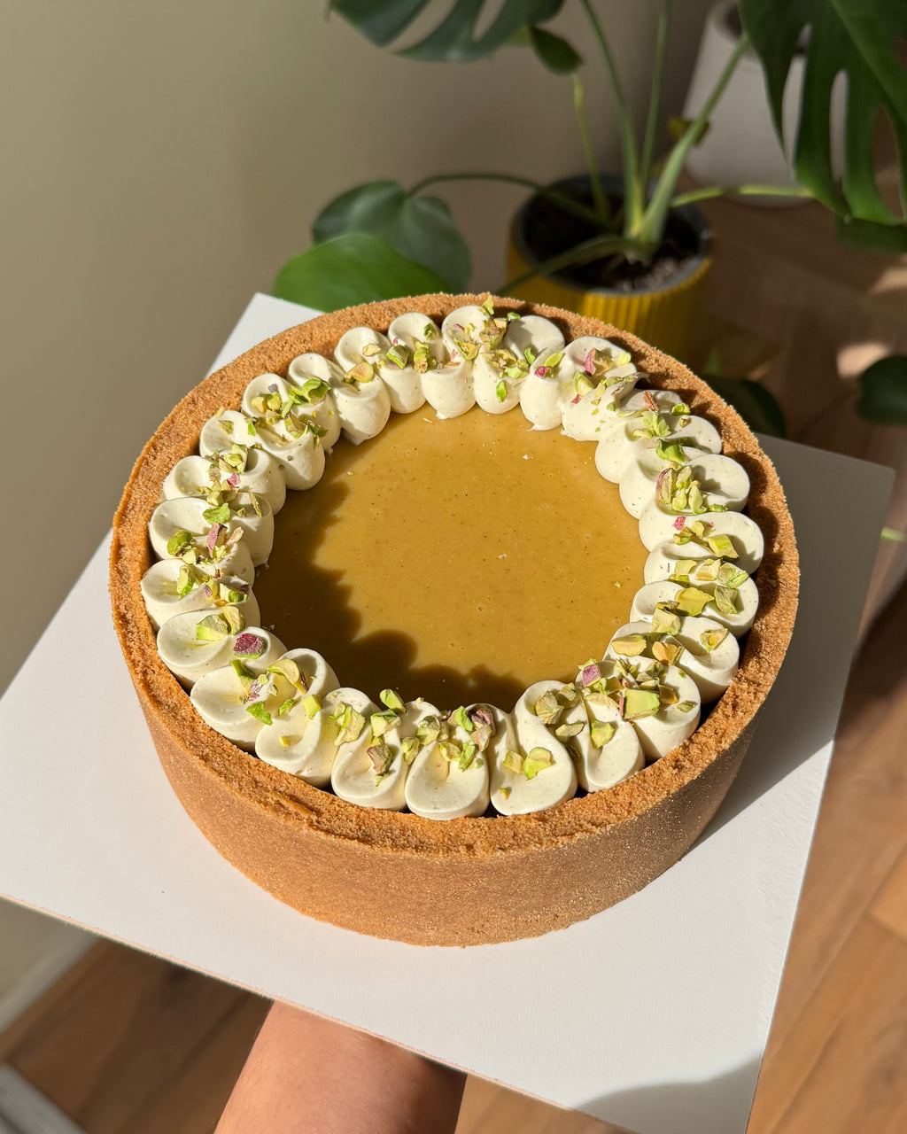 Cheesecakes Irresistibles